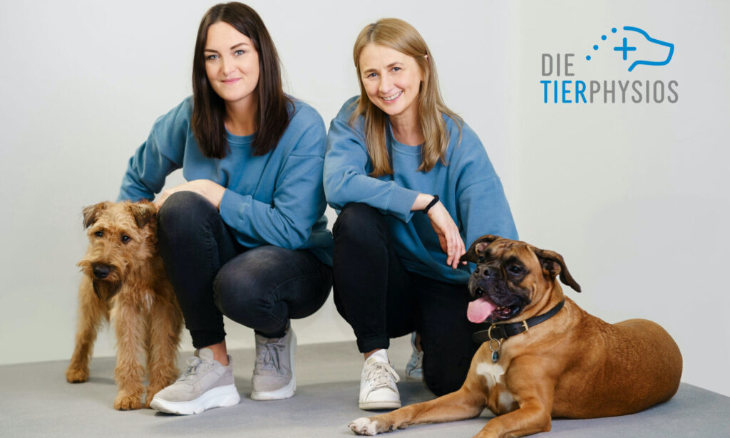 CaudaEquinaKompressionssyndrom Die Tierphysios